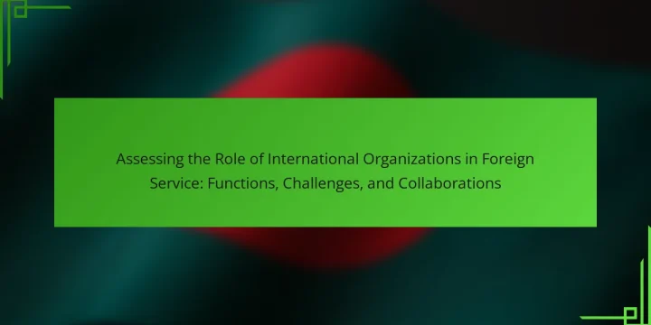 Assessing the Role of International Organizations in Foreign Service: Functions, Challenges, and Collaborations