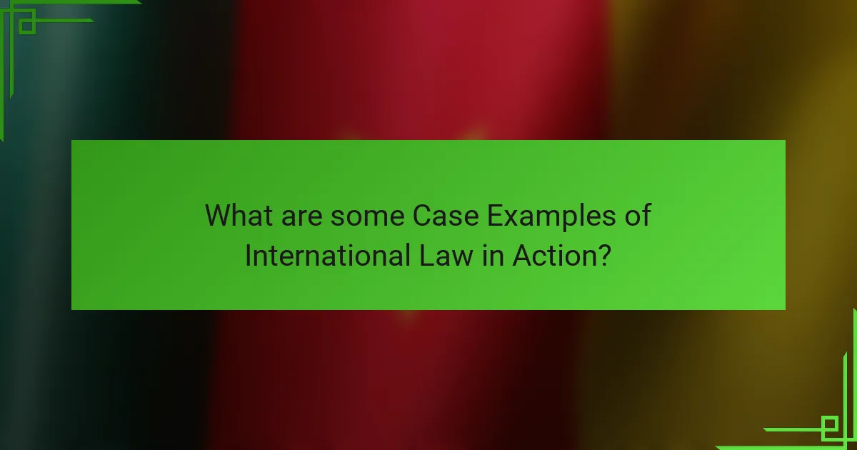 What are some Case Examples of International Law in Action?