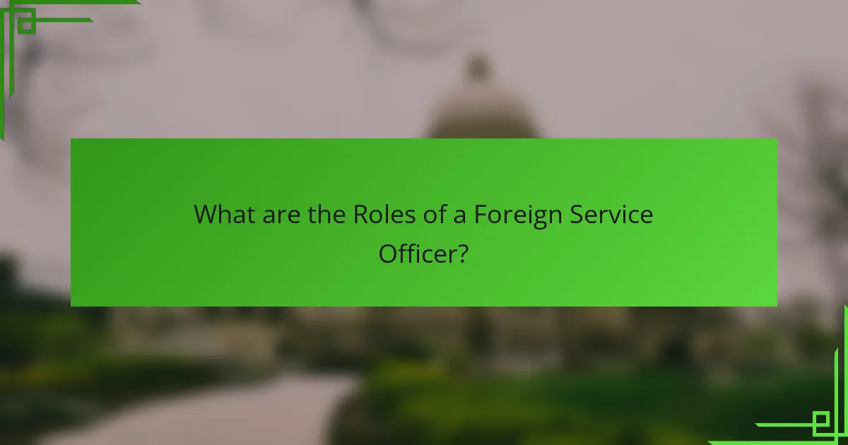 What are the Roles of a Foreign Service Officer?