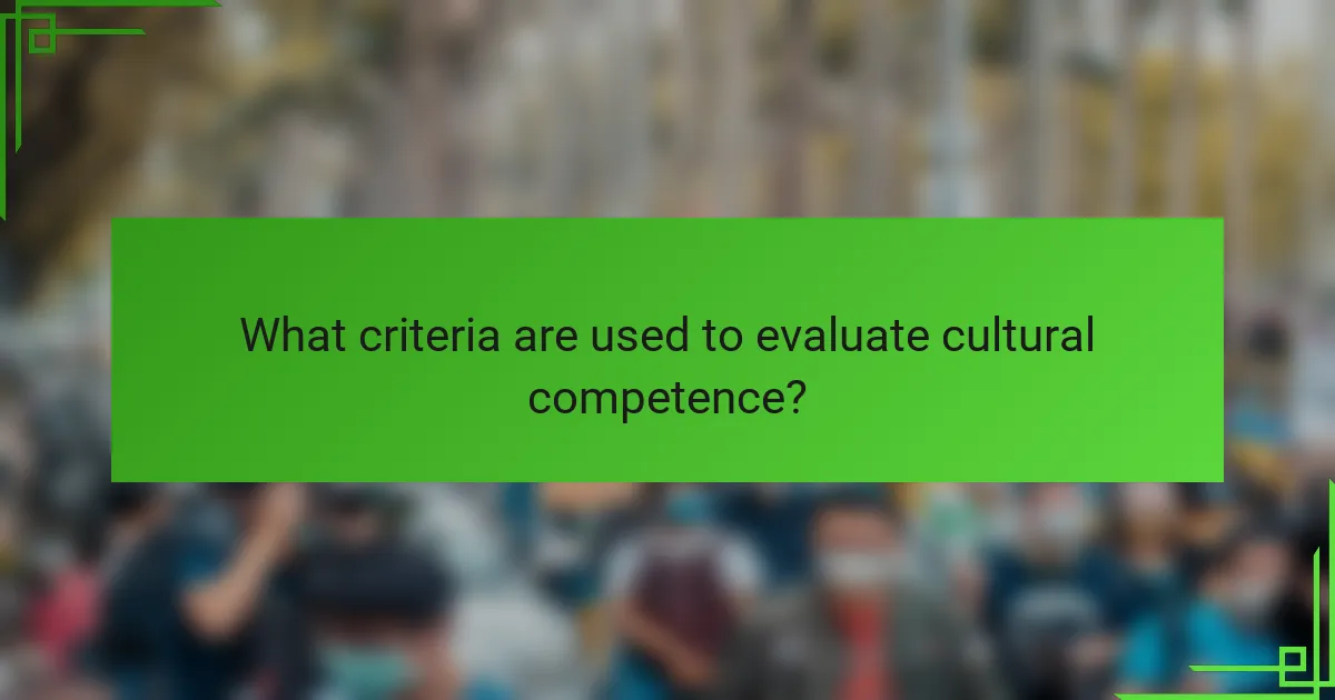 What criteria are used to evaluate cultural competence?