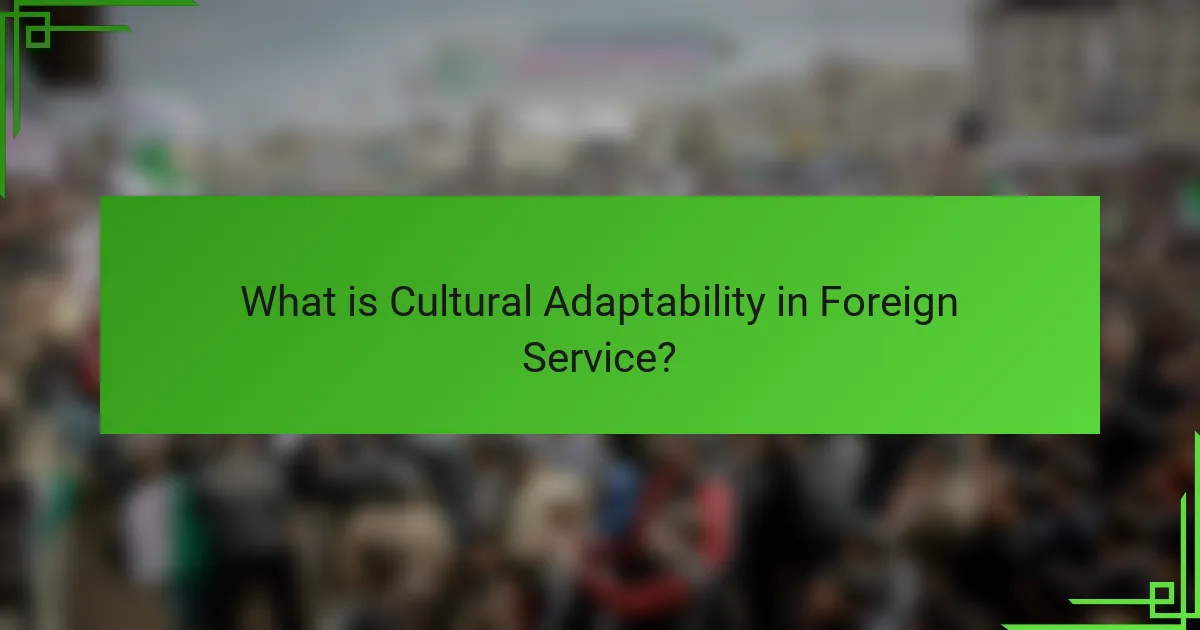 What is Cultural Adaptability in Foreign Service?