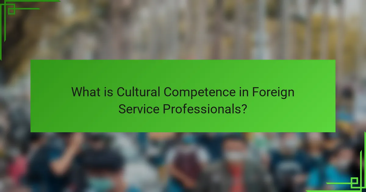 What is Cultural Competence in Foreign Service Professionals?