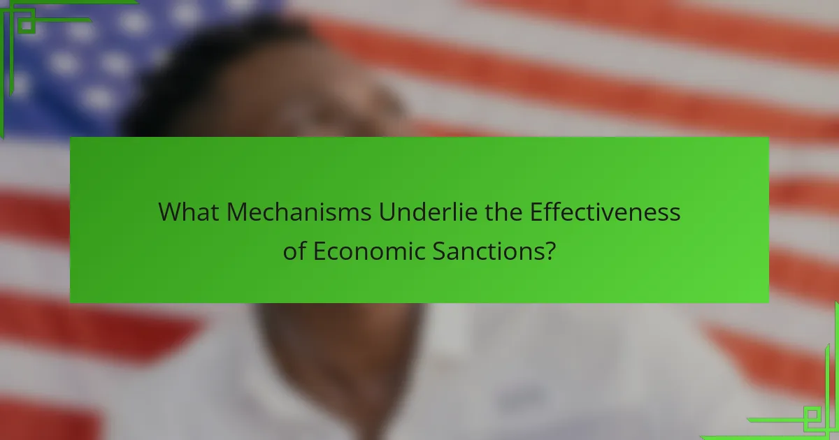 What Mechanisms Underlie the Effectiveness of Economic Sanctions?