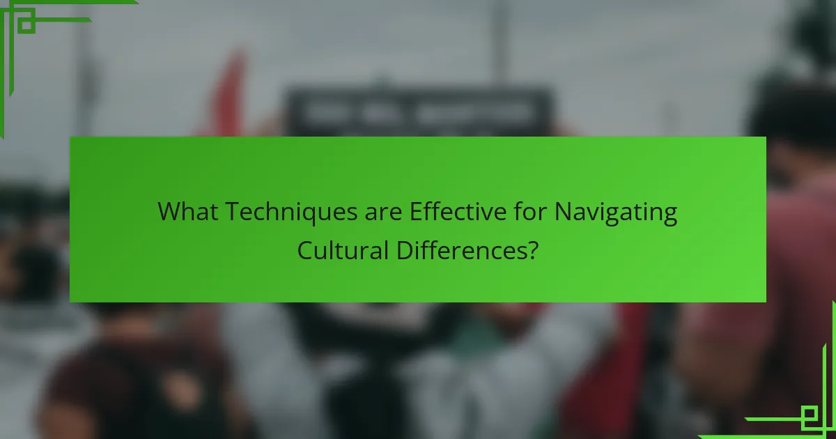 What Techniques are Effective for Navigating Cultural Differences?